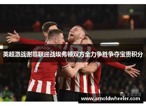 英超激战谢菲联迎战埃弗顿双方全力争胜争夺宝贵积分